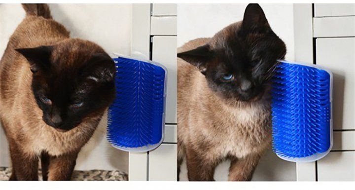 Интерактивная игрушка - чесалка для кошек CATTI, Темно-синий