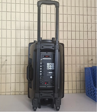 Акустична система NDR-12 (12"x1) (Бездротовий мікрофон) (Пульт)