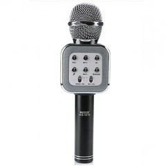 Мікрофон DM Karaoke WS 1818