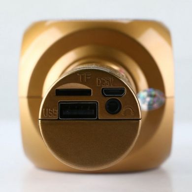 Бездротовий мікрофон з підсвічуванням WSTER WS-1816 для караоке Bluetooth Золото, Золотий