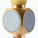 Беспроводной Микрофон с подсветкой WSTER WS-1816 для караоке Bluetooth Золото, Золотой