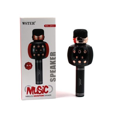 Мікрофон WSTER WS-2911 Black (Чорний)